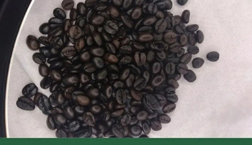 روبوستا دارک