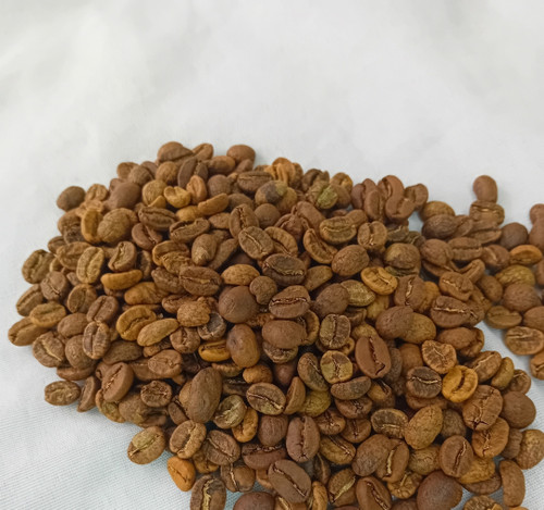 روبوستا مدیوم