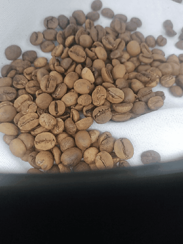 عربیکا برزیل