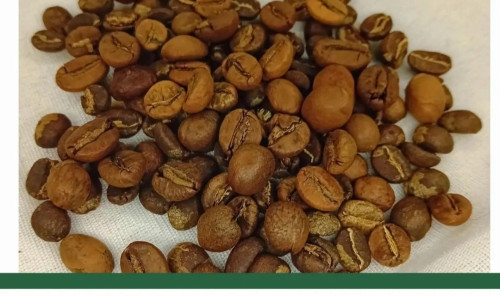 50 روبوستا اوگاندا 50 عربیکا کلمبیا