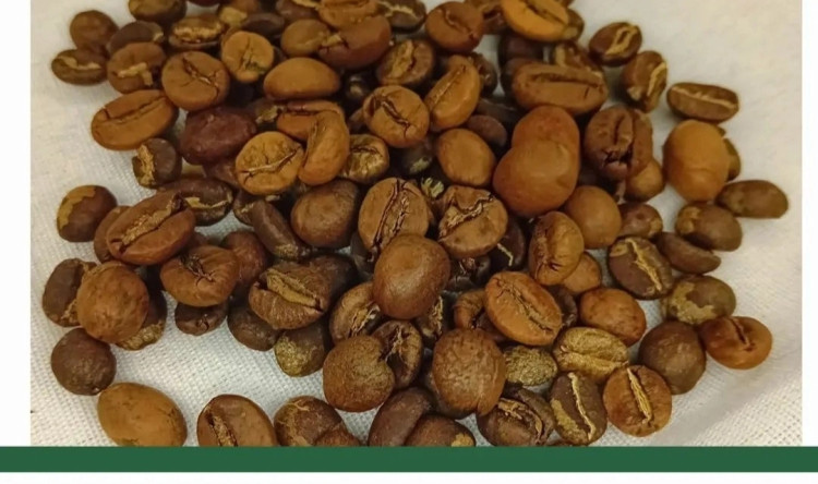 50 روبوستا اوگاندا 50 عربیکا کلمبیا