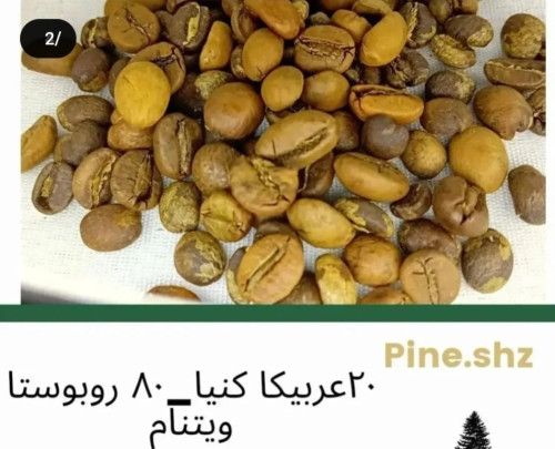 80 روبوستا -20 کنیا